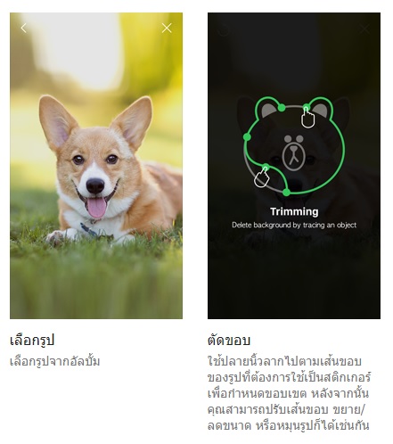 สร้างสติกเกอร์ LINE
