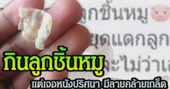 ชาวเน็ตโพสต์ภาพ กินลูกชิ้นเจอหนังปริศนา มีลายคล้ายเกล็ด คาดเป็นหนังงู