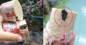 สยอง!! พบ แมลงสาบในหมูยอ ผู้โพสไม่ได้ต้องการเงิน แค่อยากให้ผลิตให้ได้มาตรฐาน